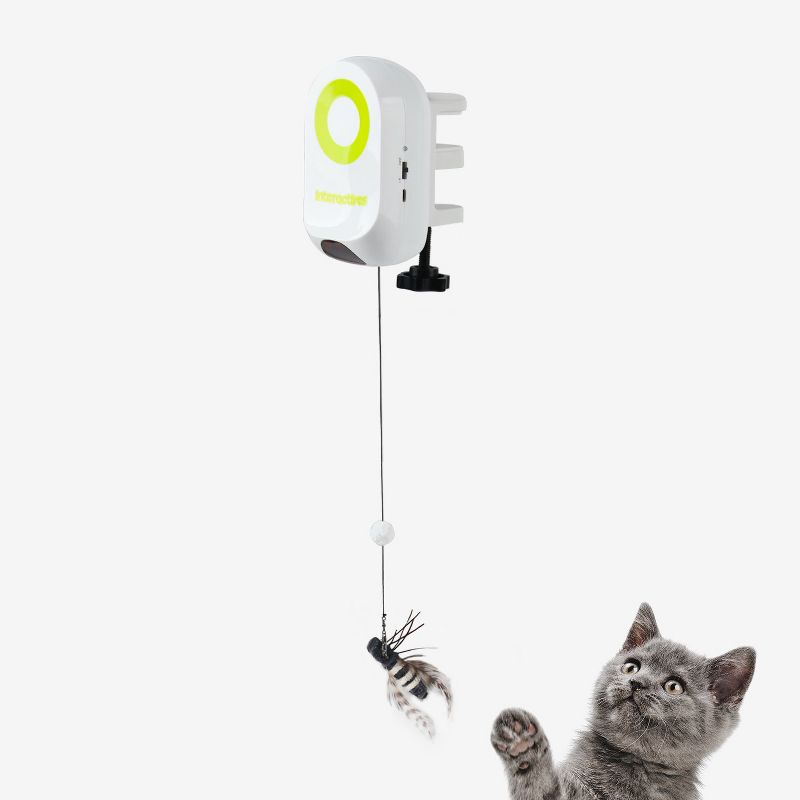 Allforpaws Interactives Cat Toy, Cat Yoyo Bug, Halloween Pet Toy