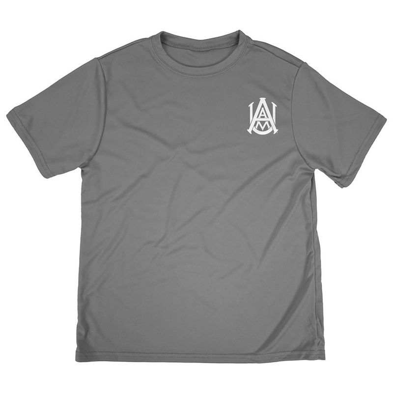 Boys' Alabama A&M University Sport T-Shirt Left Chest Logo Charcoal X Small